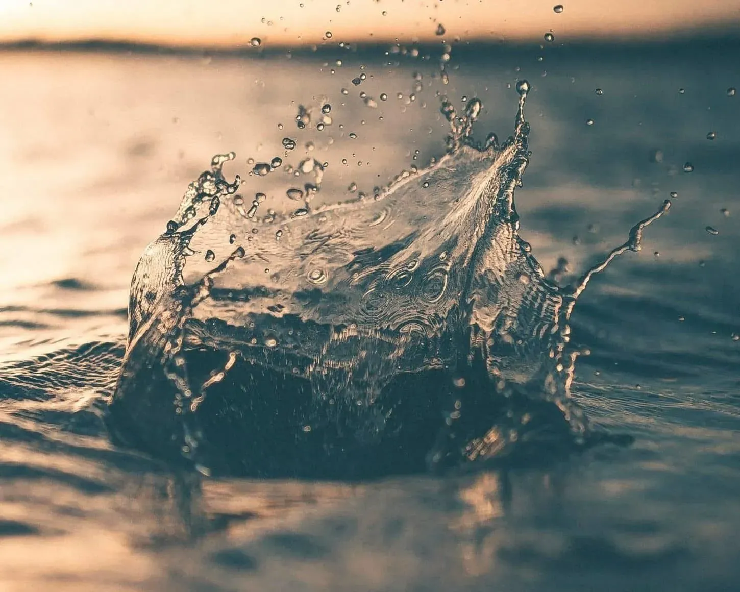 Water splashes upwards with many small droplets, reflecting warm light from a blurred background.