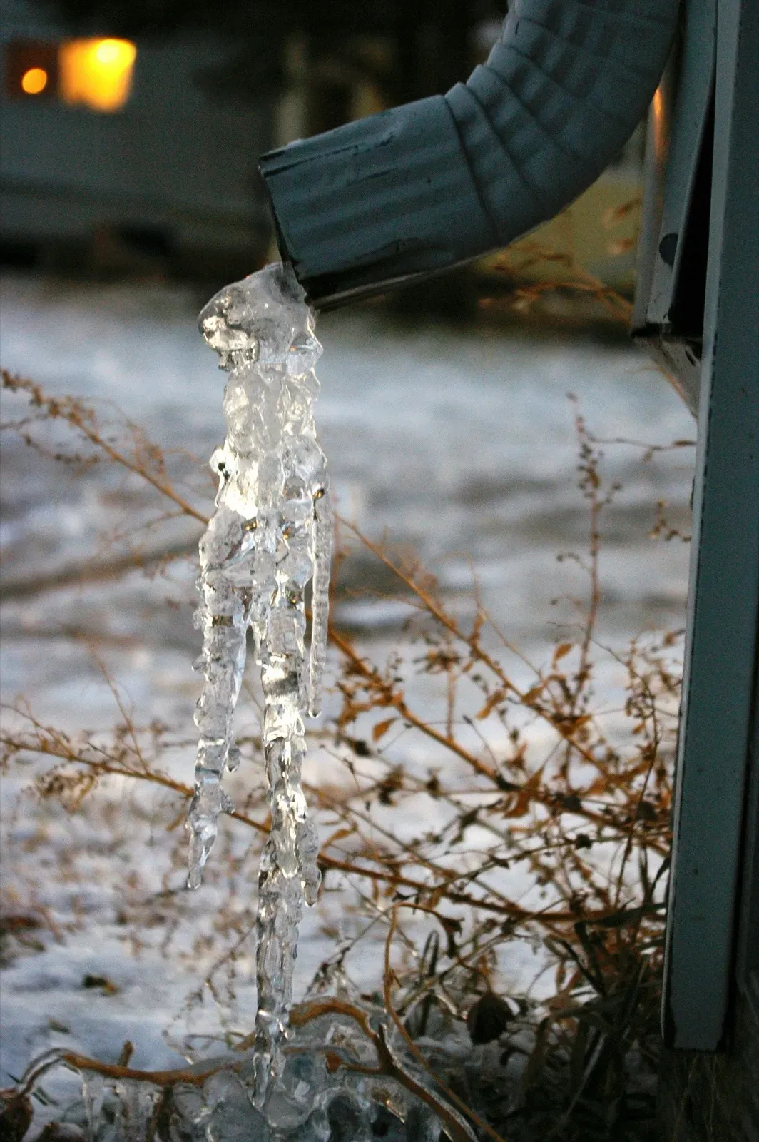 Shimmering icicles hang from a dark rain gutter, with blurry snow, dried weeds, and warm light in the background.