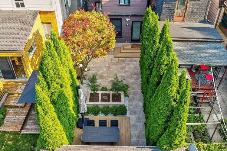 Narrow backyard patio with tall green privacy trees, a colorful autumn tree, outdoor dining, and raised beds.
