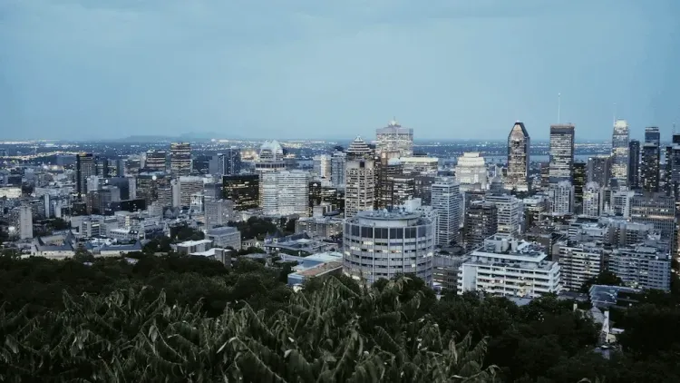 Montreal city skyline at dusk with illuminated skyscrapers and dark foliage in the foreground.