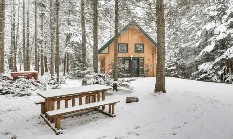 Rustic wood cabin with a green roof in a snow-covered forest. A snowy wooden picnic table is in the foreground.