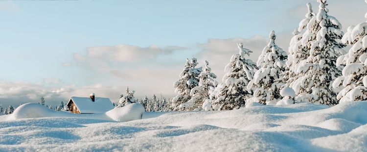 Snowy landscape with a cabin, snow-covered pine trees, and rolling snowdrifts under a partly cloudy blue sky.