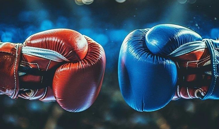Hands in red and blue boxing gloves facing off, ready to fight.