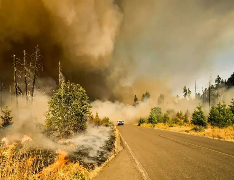 A wildfire rages by a highway with a white truck. Dense smoke billows over burning trees and dry brush.