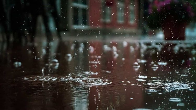 Raindrops creating ripples in a dark puddle. Blurred red building and potted flowers in the background.