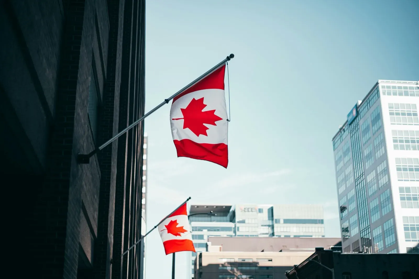 Two Canadian flags attached to a dark brick building against a bright blue sky and modern city buildings.